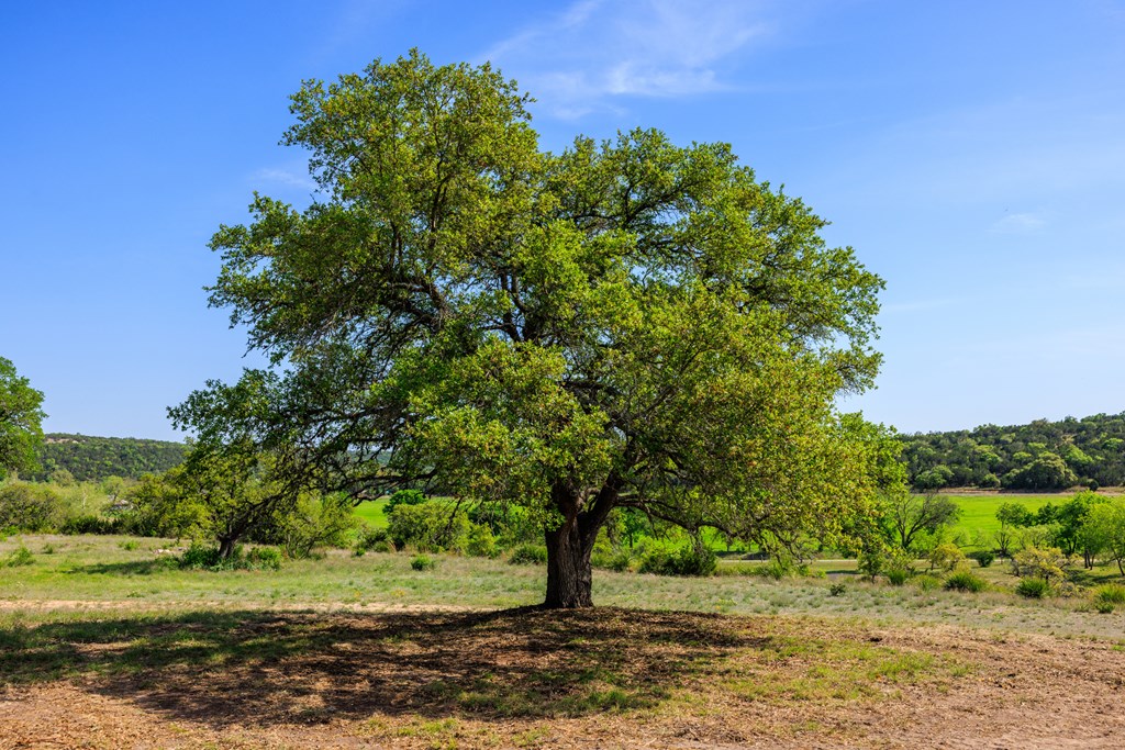 Lot 2 Byrd Ranch Road, Unit 2 Johnson City, TX 78636 - Photo 37 of 44