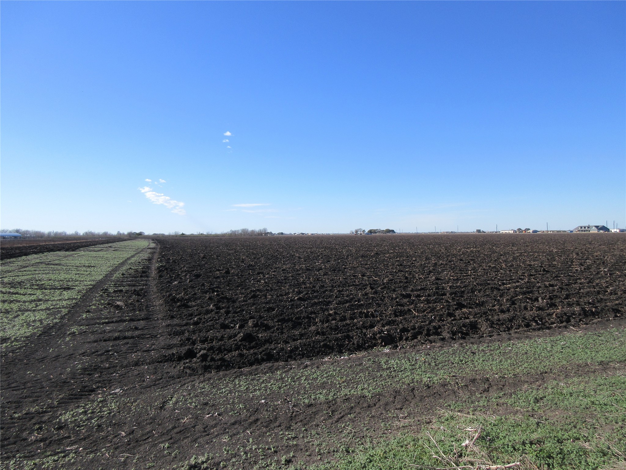 0 Bj Dusek Road Wallis, TX 77485 - Photo 10 of 13 a view of a yard with wooden floor and mountain view
