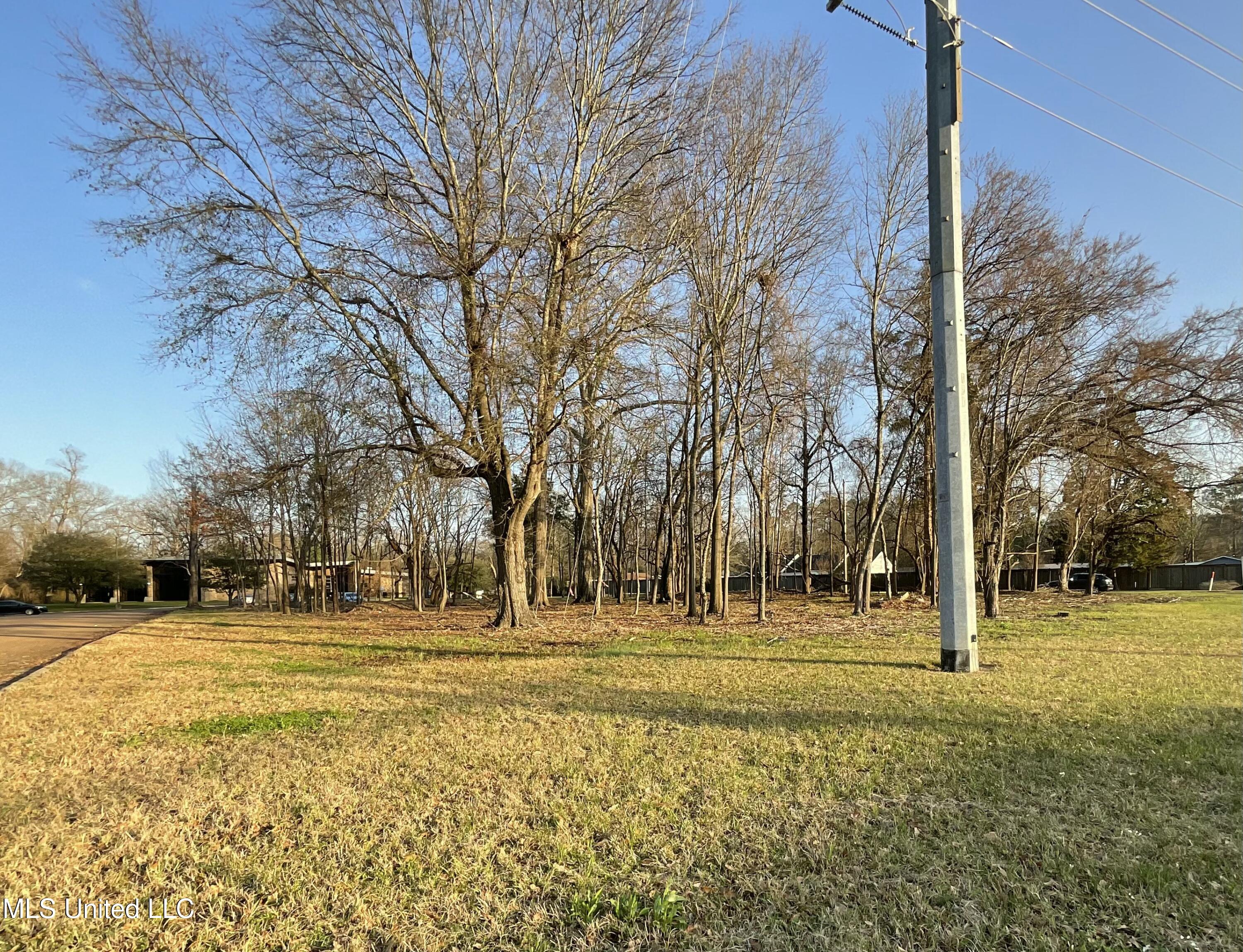 4910 Old Canton Road Jackson, MS 39211 - Photo 2 of 4 tempImageZXKbGl