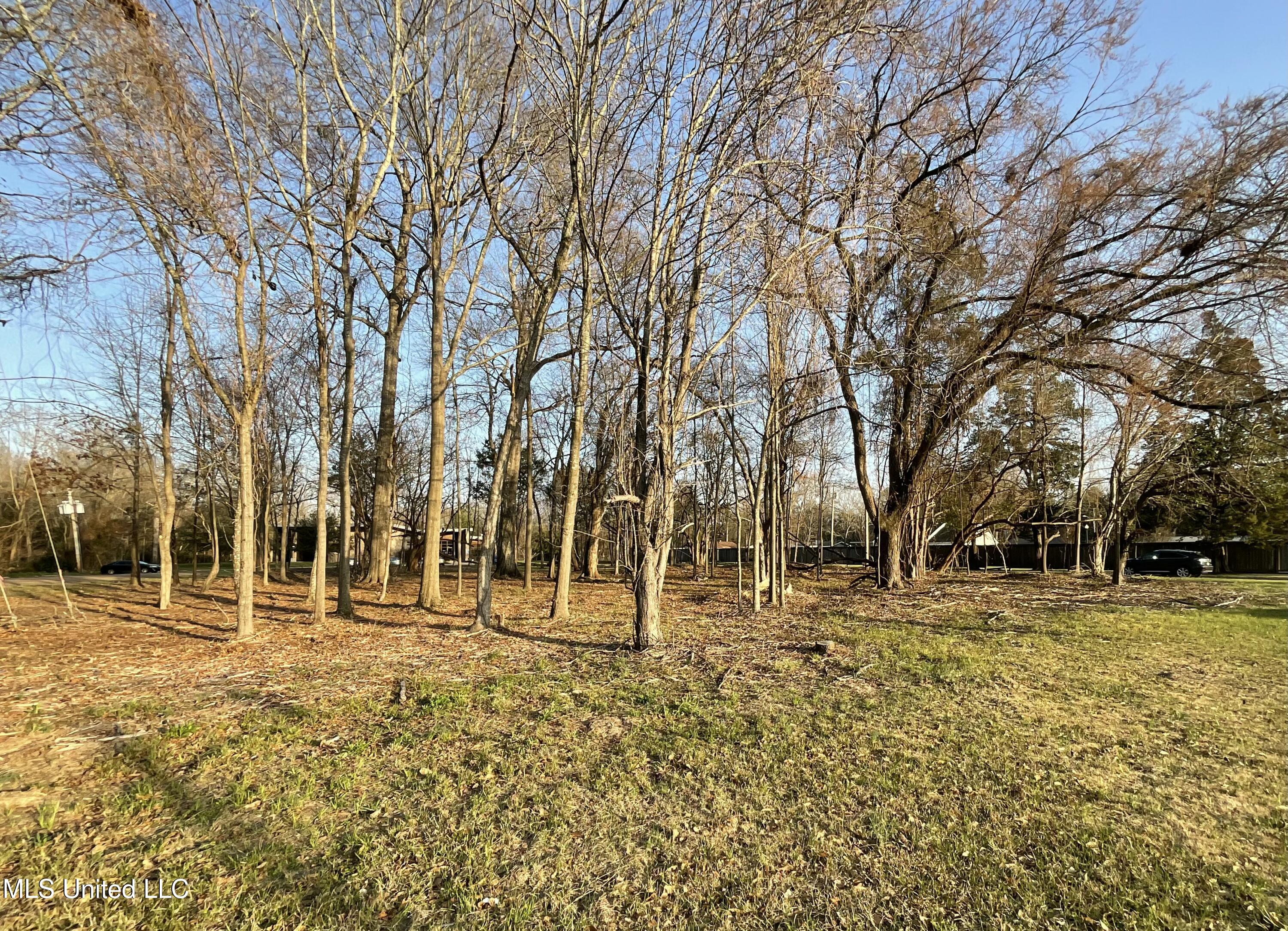 4910 Old Canton Road Jackson, MS 39211 - Photo 3 of 4 tempImageWydA9Y