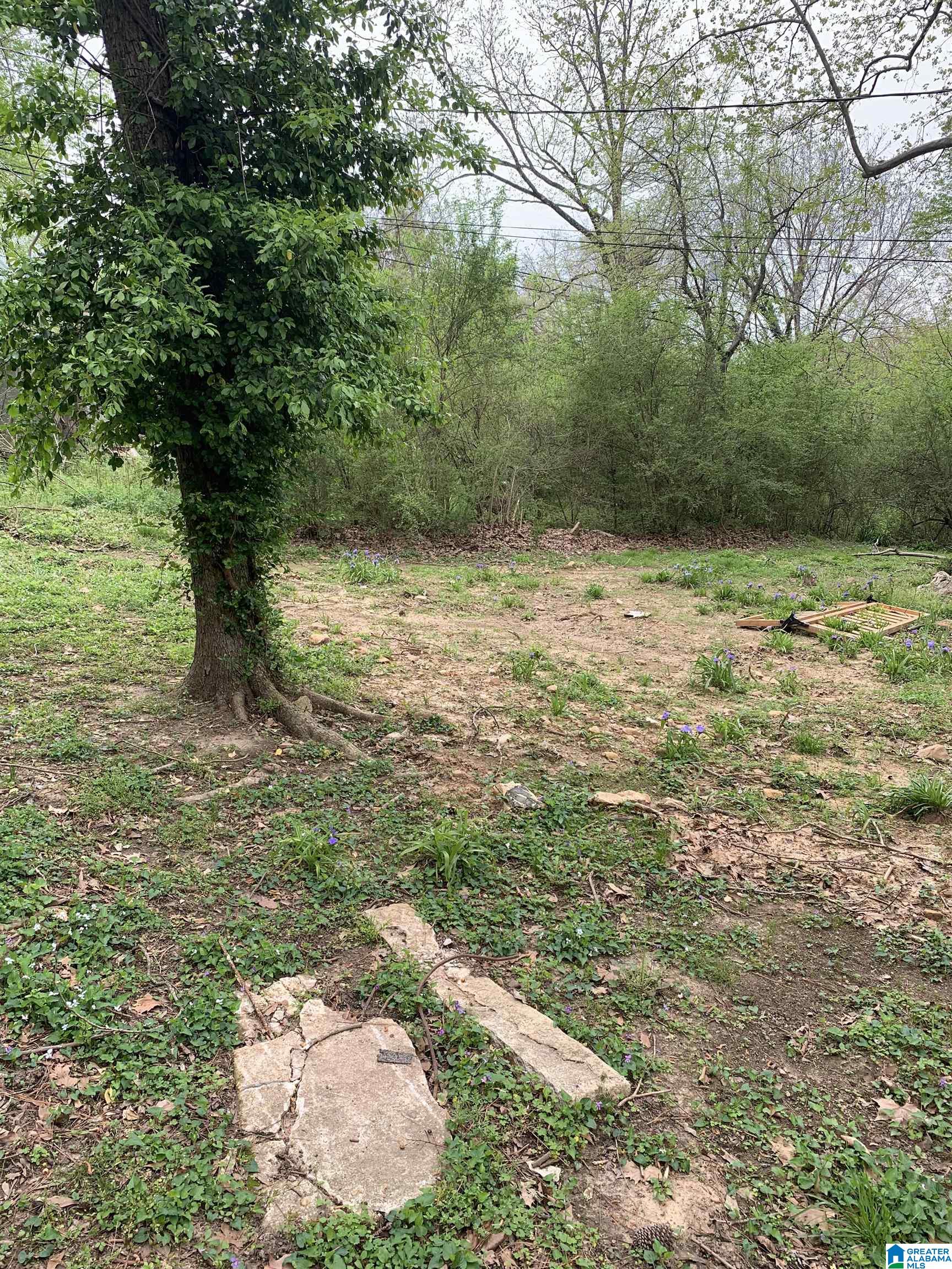 400 South Ledbetter Street Anniston, AL 36201 - Photo 20 of 21