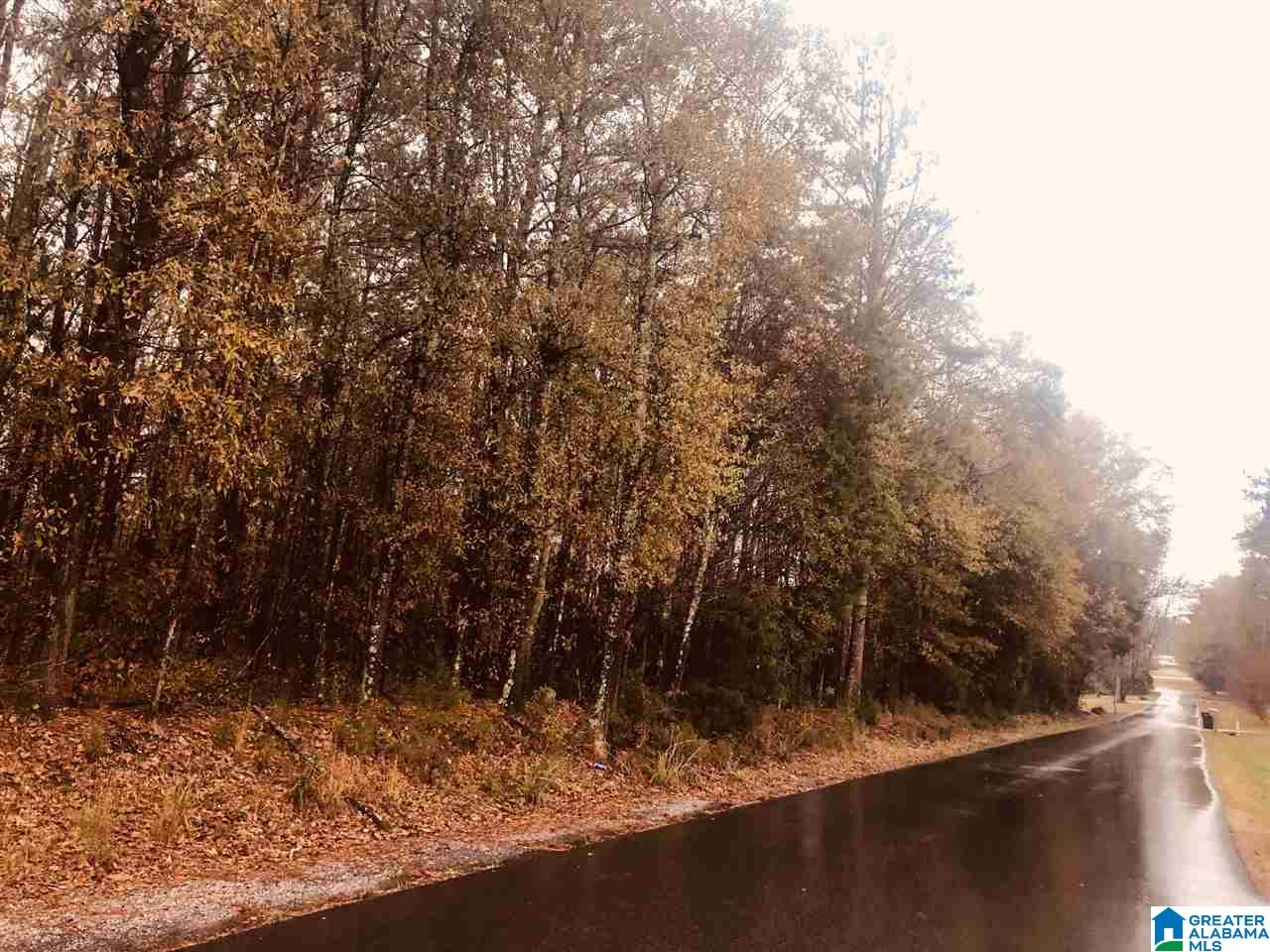 0 Kirby Road, Unit 2 2 Oxford, AL 36203 - Photo 3 of 8