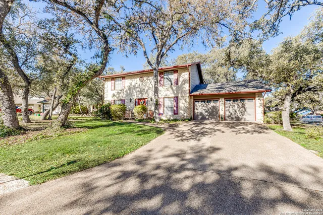 a view of a yard with plants and a fountain