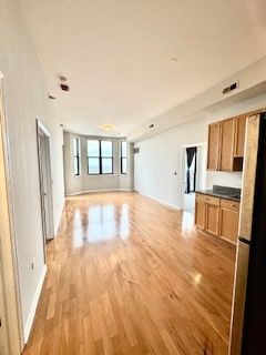 1464 South Michigan Avenue, Unit 2007 Chicago, IL 60605 - Photo 4 of 22 a view of empty room with wooden floor and fireplace