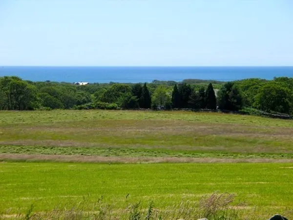 a view of a field with an ocean beach