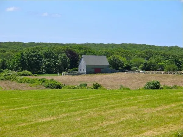 a view of a field with an ocean
