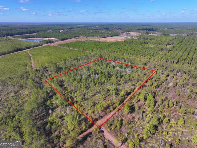 $49,000 | 0 Carter Community Road, Folkston, GA 31537