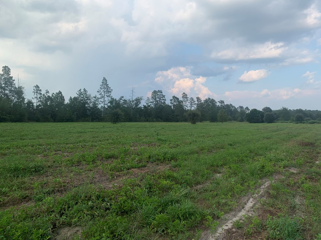 Tbd Tolt Trail Aiken, SC 29801 - Photo 8 of 14