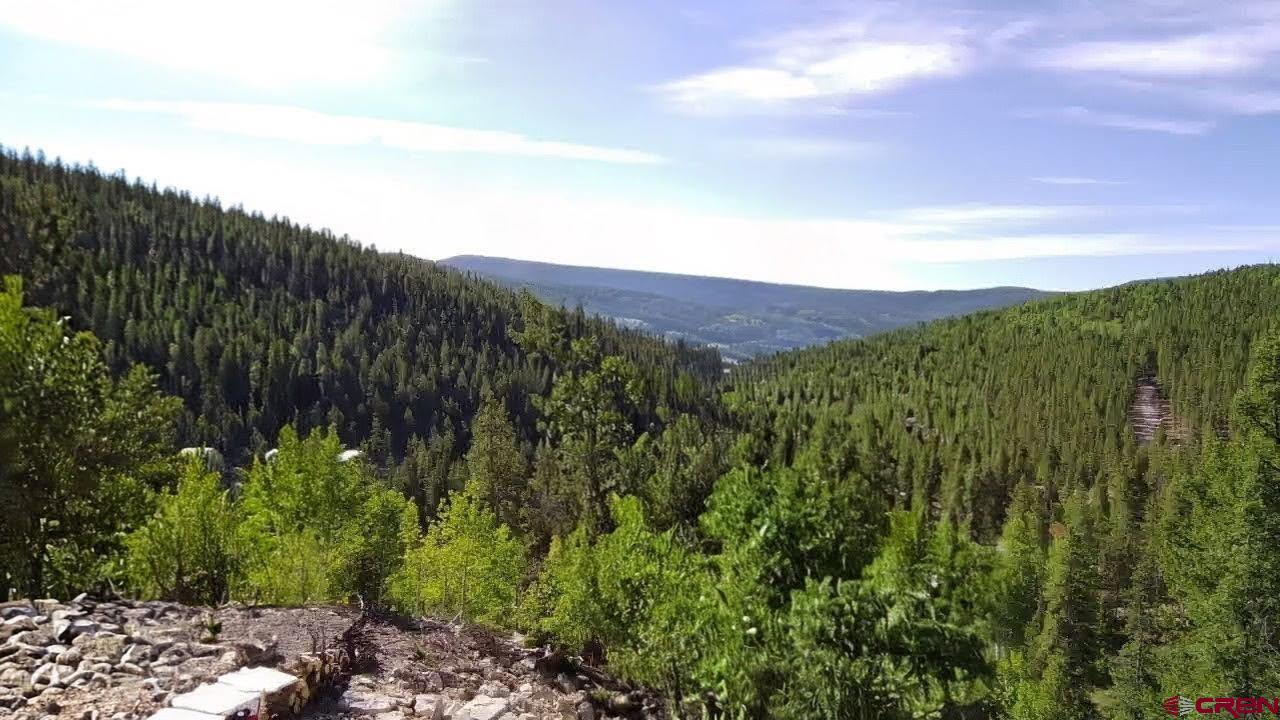 1675 Chicago Park Road Pitkin, CO 81241 - Photo 3 of 9