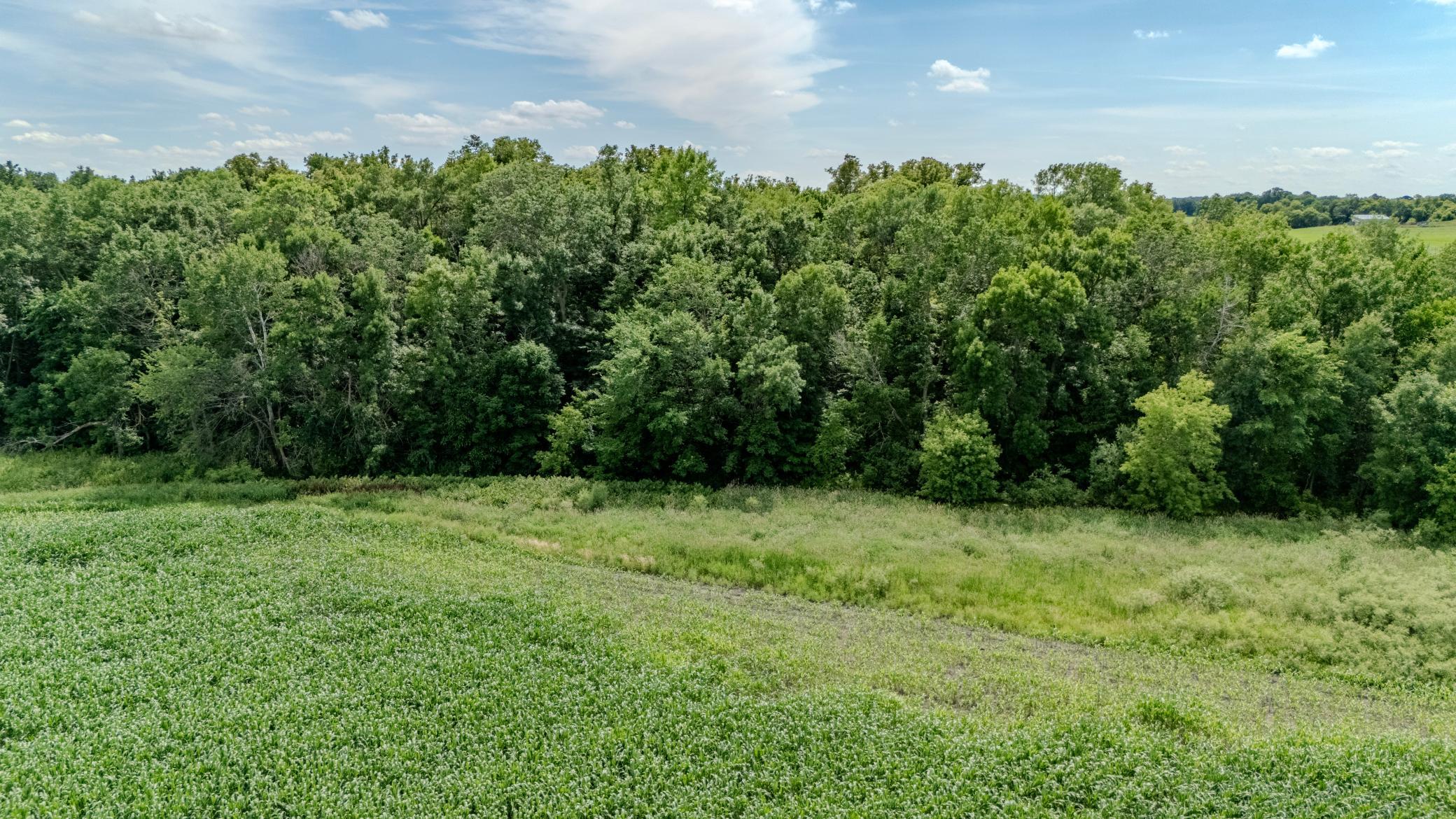 Tbd Cardinal Road Swanville, MN 56382 - Photo 11 of 16