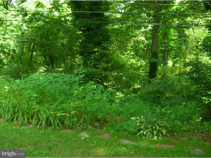 390 Madison Road Springfield, PA 19064 - Photo 23 of 25 Back Yard