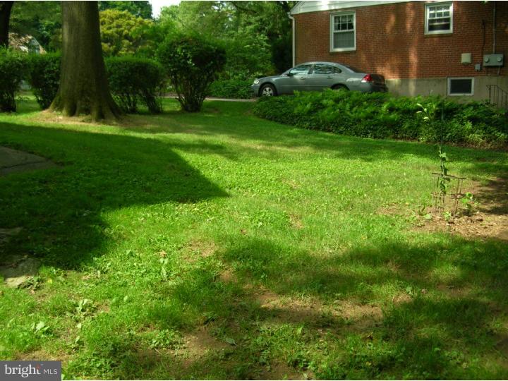 390 Madison Road Springfield, PA 19064 - Photo 24 of 25 Side Yard