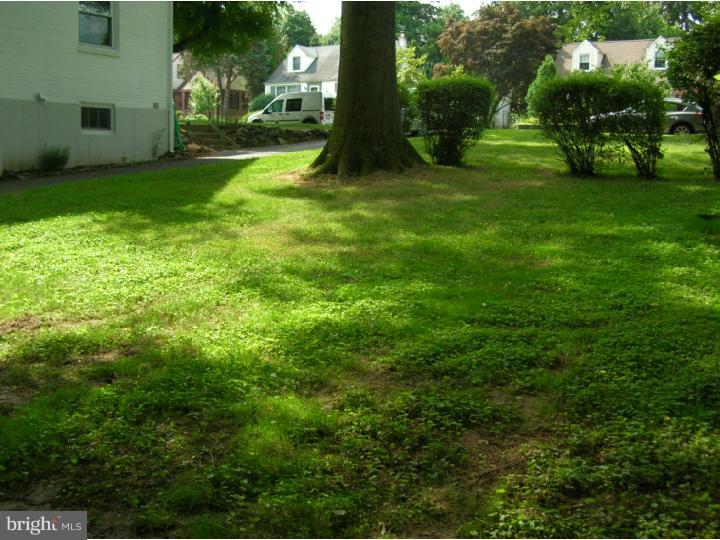 390 Madison Road Springfield, PA 19064 - Photo 25 of 25 Side Yard