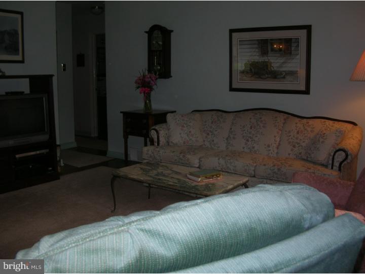 390 Madison Road Springfield, PA 19064 - Photo 6 of 25 Living Room