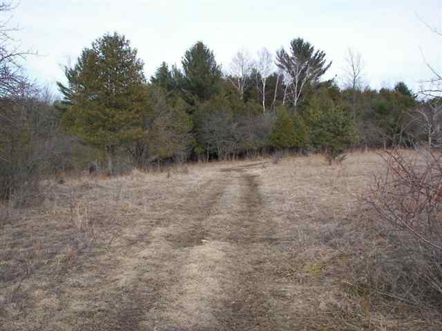 0 Downington Road Deckerville, MI 48427 - Photo 10 of 17 31050618-9.JPG