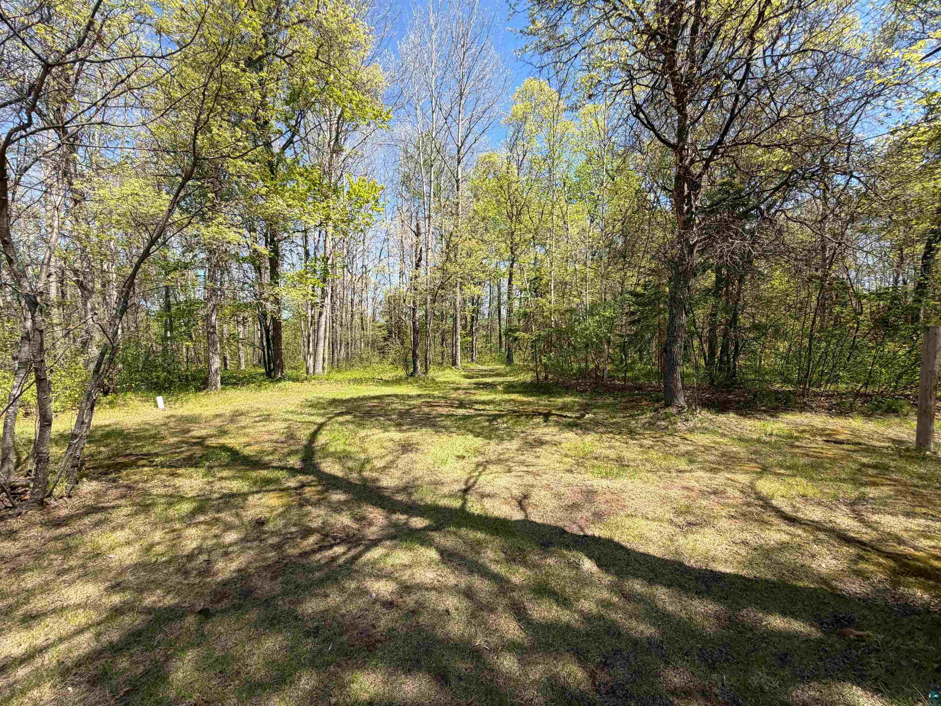 12235 East Crooked Lake Road Gordon, WI 54838 - Photo 47 of 48 Wooded lot featuring mature trees and dappled sunlight