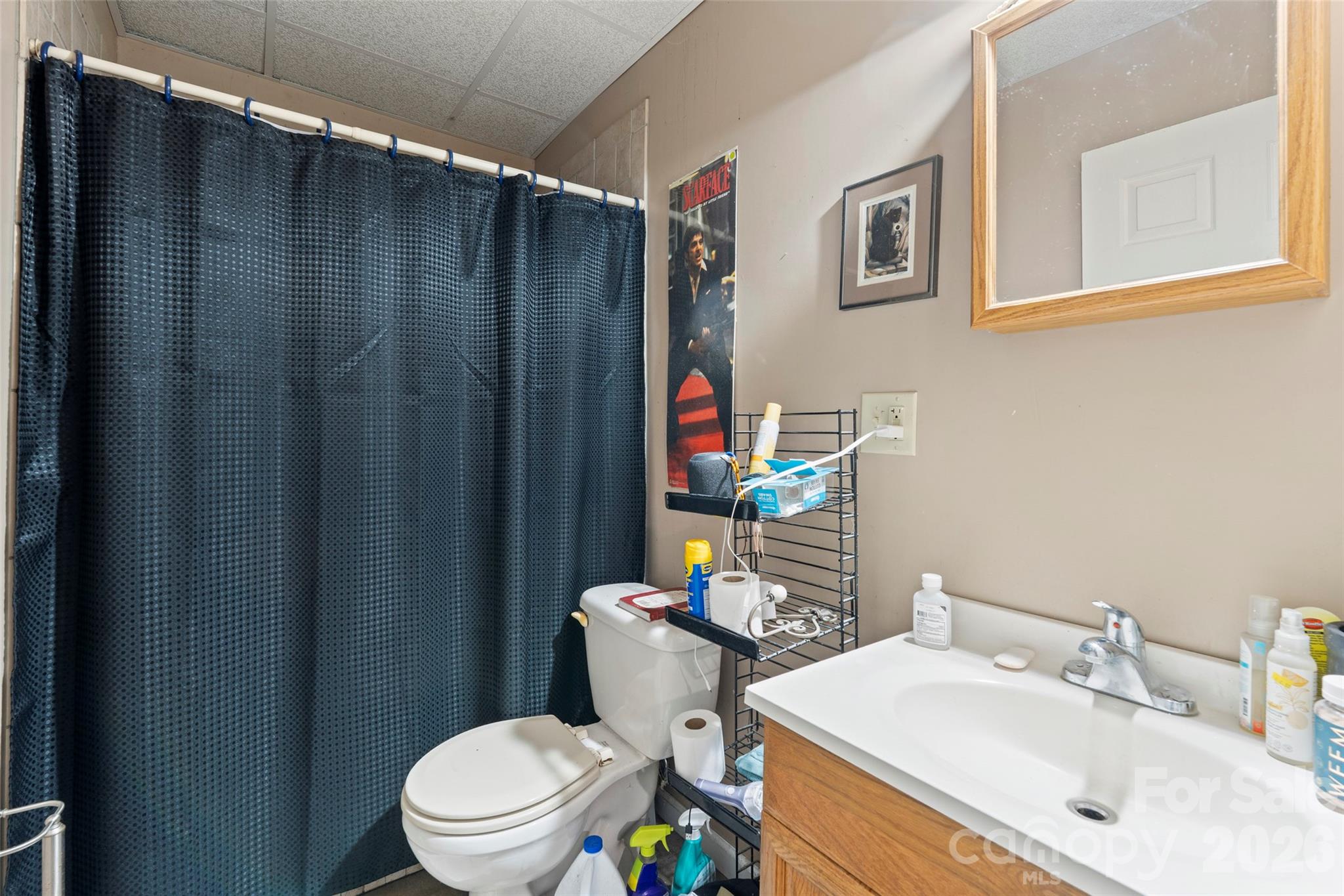 319 Glenn Bridge Road, Unit 24 Arden, NC 28704 - Photo 28 of 37 a bathroom with a sink toilet and shower