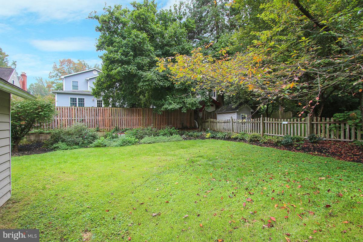 5612 Greentree Road Bethesda, MD 20817 - Photo 26 of 28 a view of a backyard with plants and large trees