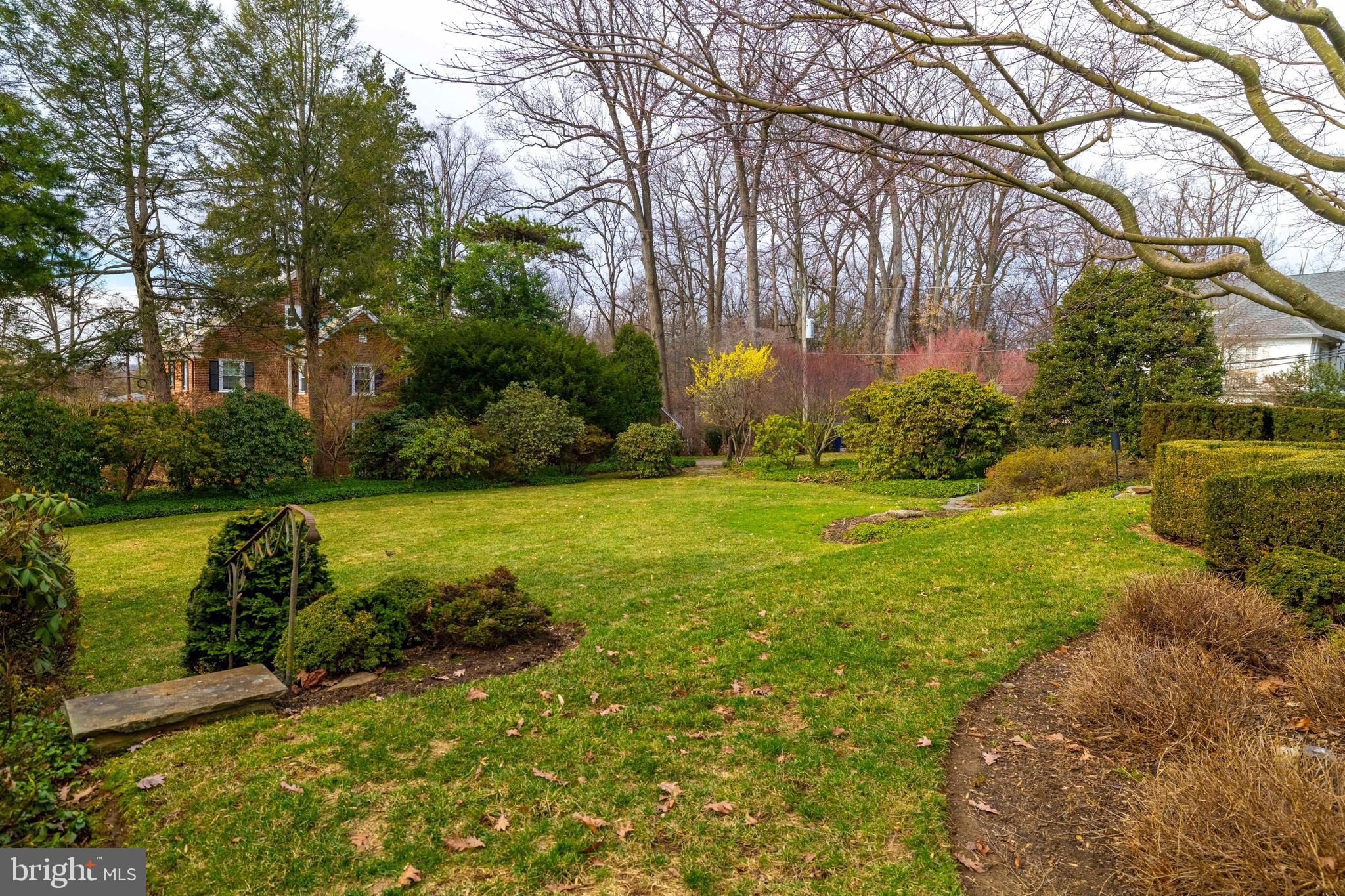 764 Glen Road Jenkintown, PA 19046 - Photo 44 of 57 a view of a garden with large trees