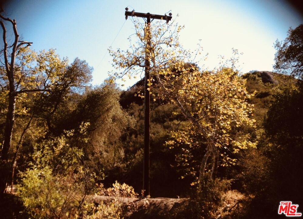 0 Red Rock Road Topanga, CA 90290 - Photo 18 of 53 a view of a tree