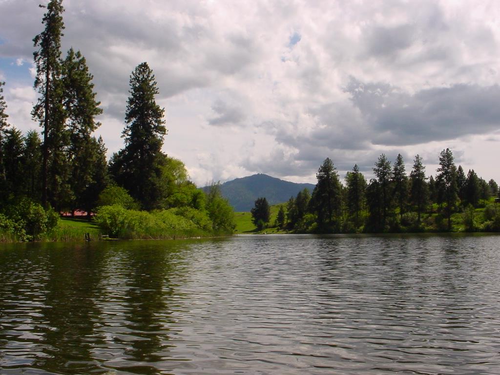 1001 B Mission Ridge Way Kettle Falls, WA 99141 - Photo 2 of 20 Gallery Image 2