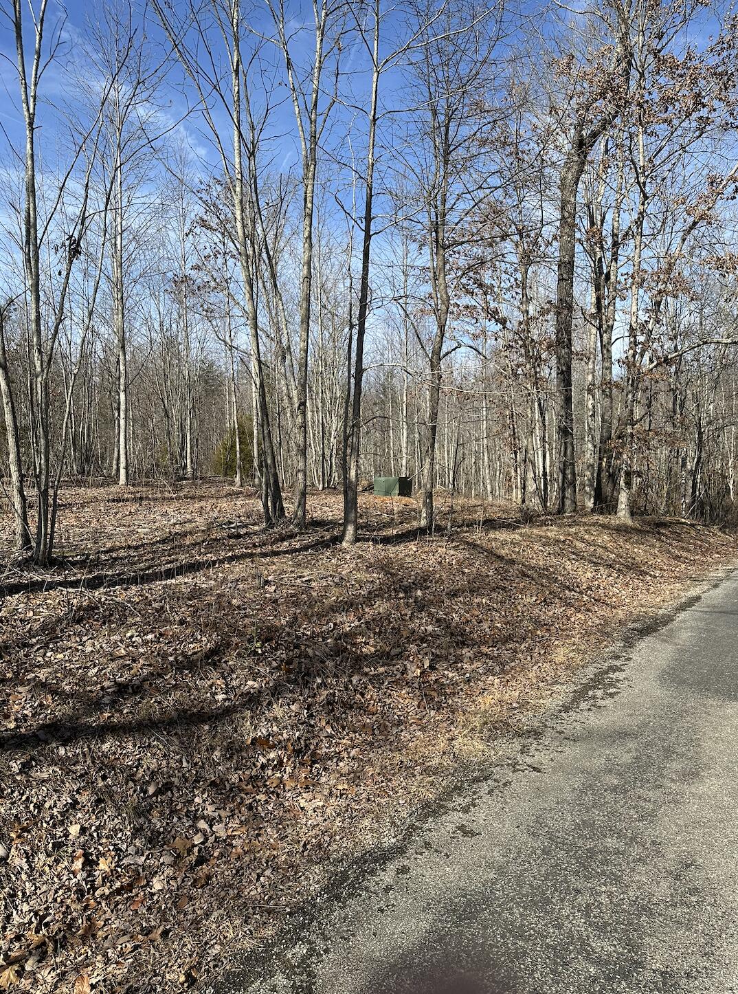 833 Coke Bowman Road Soddy-Daisy, TN 37379 - Photo 1 of 15 Street view
