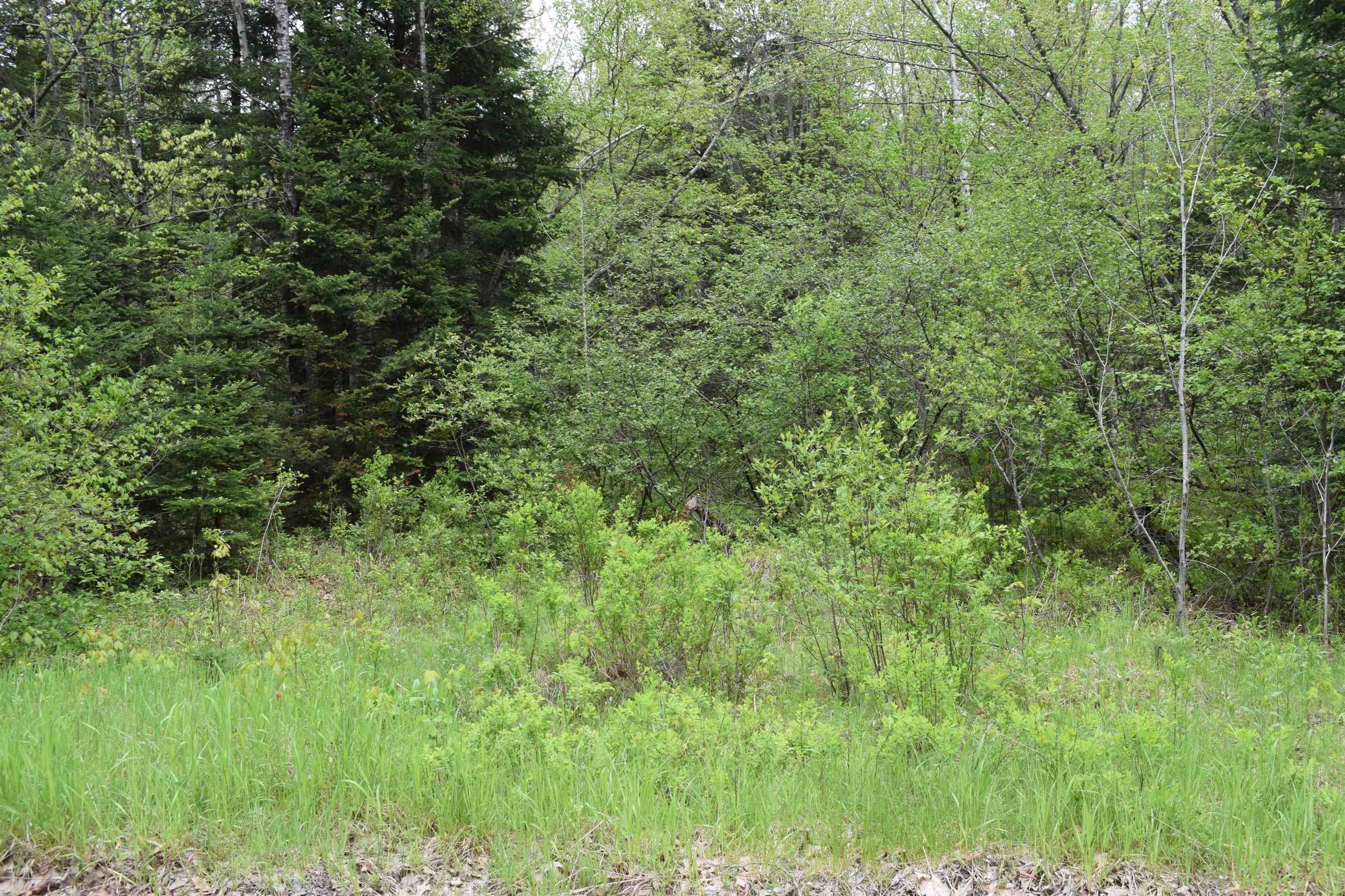 0 Faraway Road Dalton, NH 03598 - Photo 1 of 5 Gallery Image 1