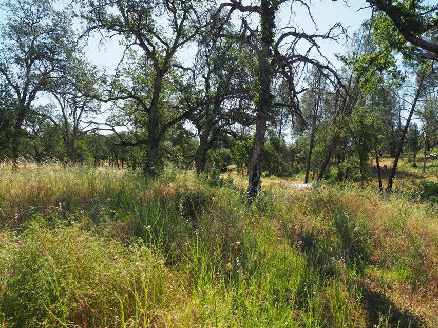 20103 Parocast Road Redding, CA 96003 - Photo 19 of 24 20260519214647200701000000-o