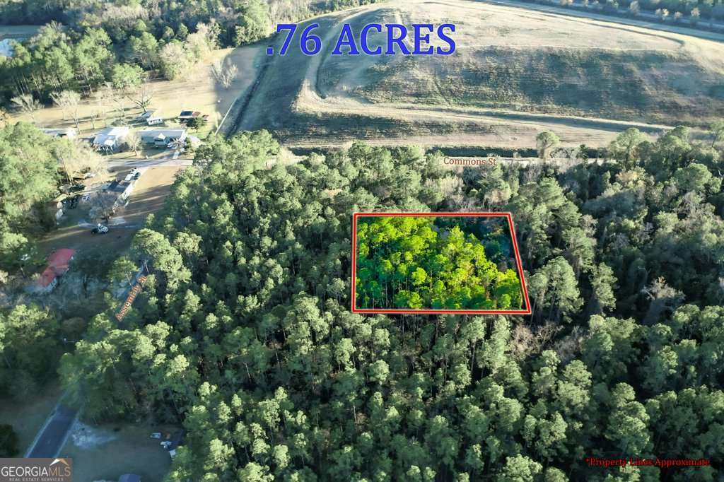0 Cabinet Street Waycross, GA 31501 - Photo 8 of 11