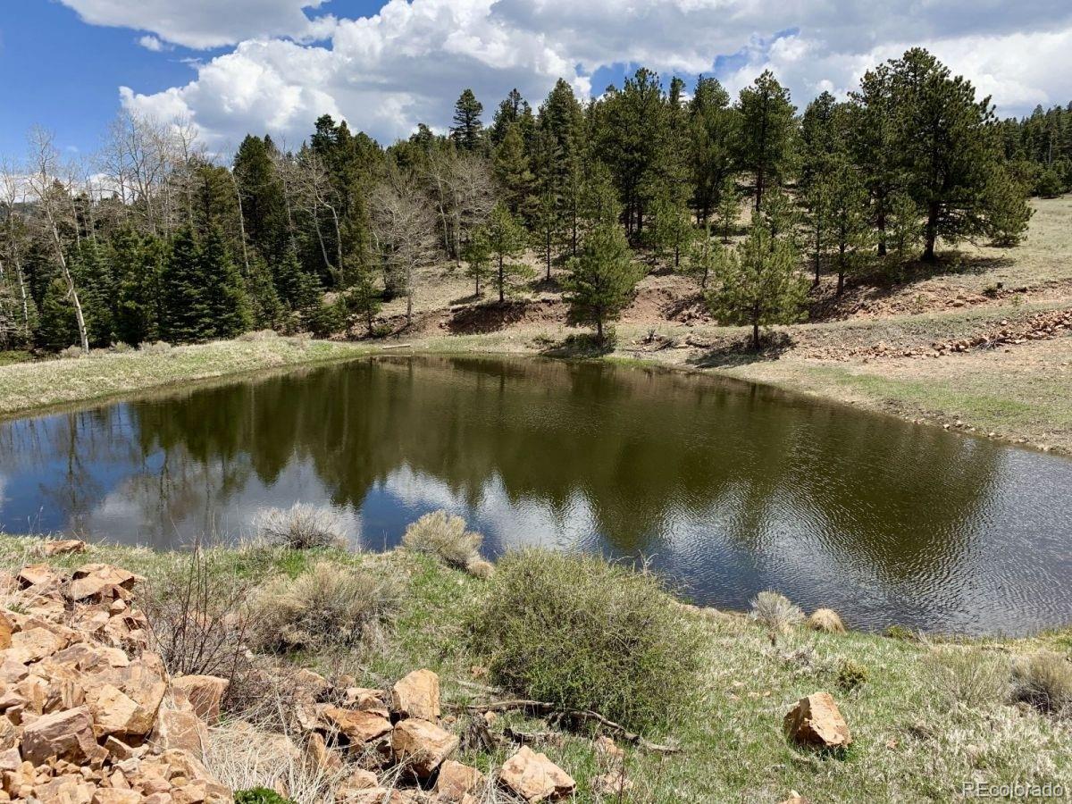 Eagle Springs Road Westcliffe, CO 81252 - Photo 2 of 10 a view of a lake with trees