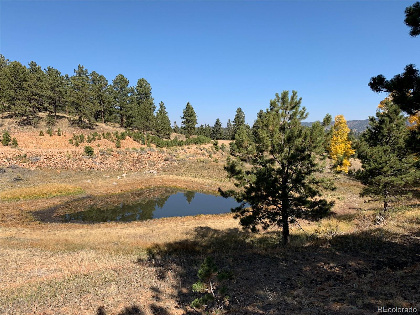 Eagle Springs Road Westcliffe, CO 81252 - Photo 3 of 10 a view of ocean view