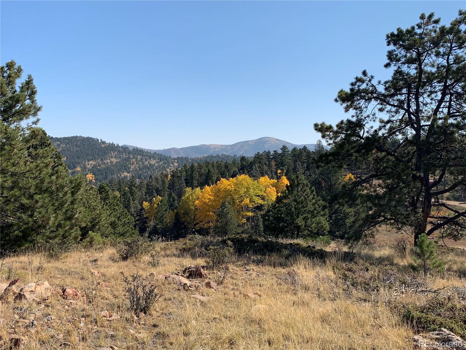 Eagle Springs Road Westcliffe, CO 81252 - Photo 4 of 10 a view of a lake with mountains in the background