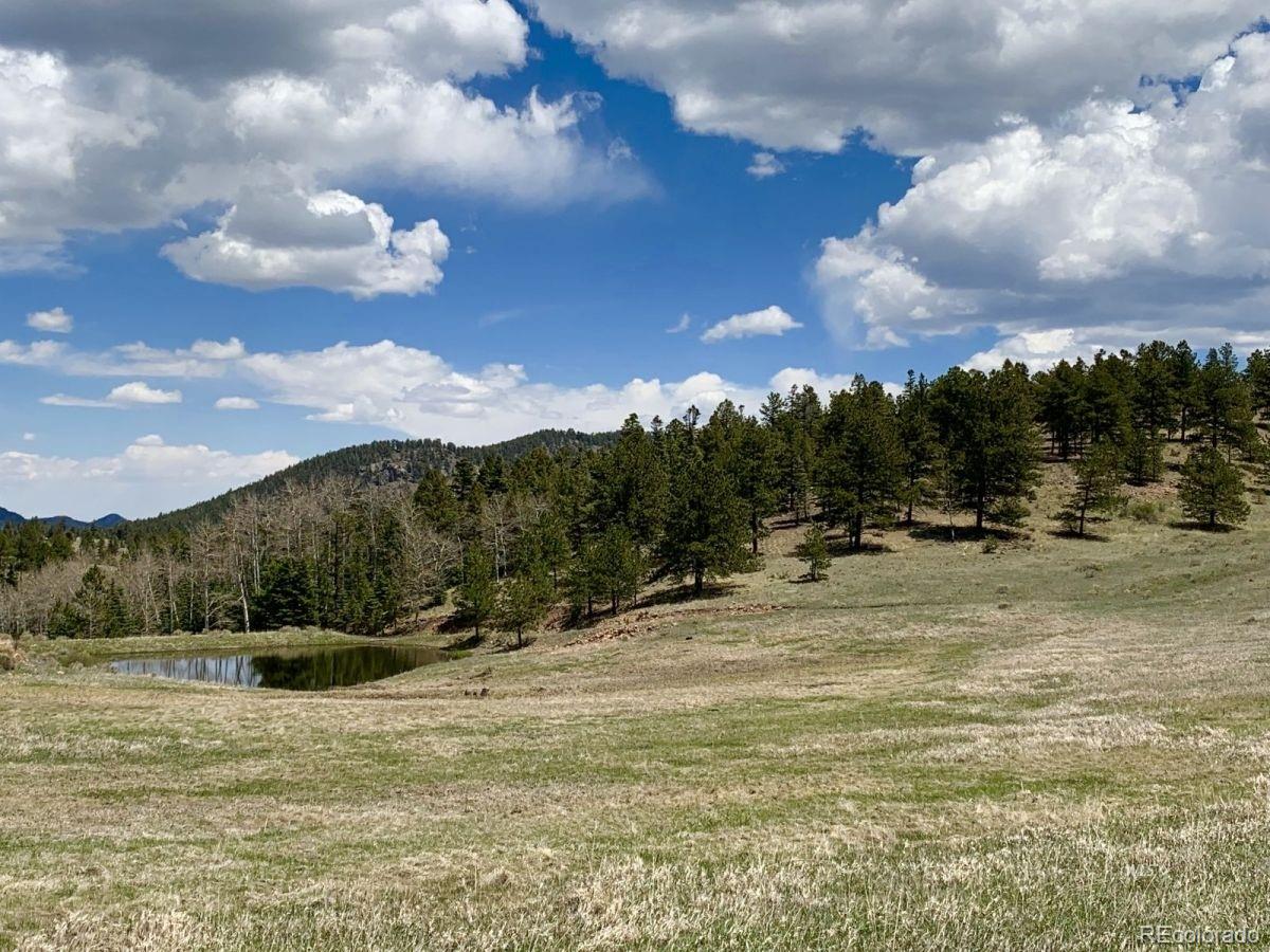 Eagle Springs Road Westcliffe, CO 81252 - Photo 5 of 10 a view of a lake view