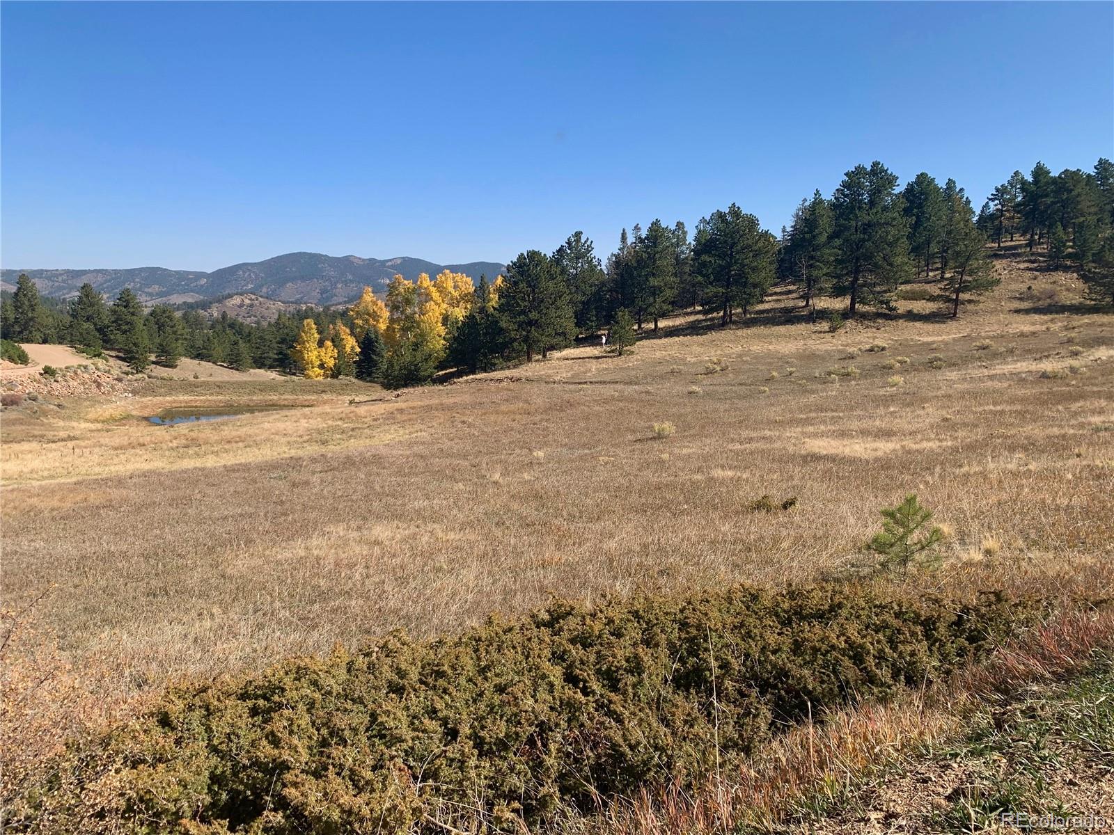 Eagle Springs Road Westcliffe, CO 81252 - Photo 6 of 10 a view of a field with an ocean