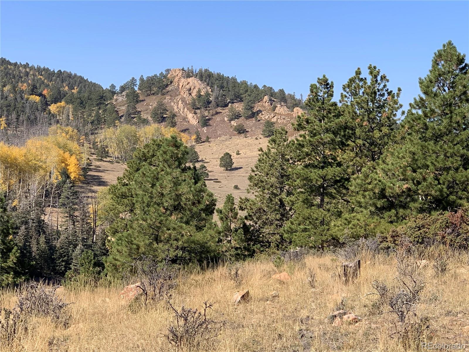 Eagle Springs Road Westcliffe, CO 81252 - Photo 7 of 10 a view of a yard with a tree