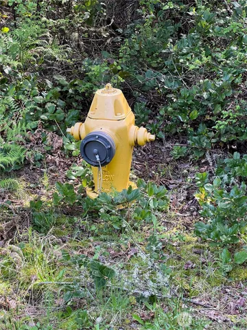 $31,500 | 10702 Pioneer Drive, Anderson Island, WA 98303