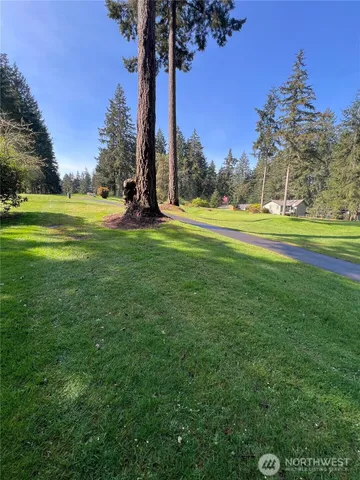 a view of the garden and trees