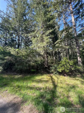 a view of a green yard