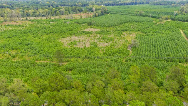 $2,620,800 | 0 Charleston Highway, Walterboro, SC 29488