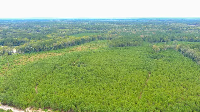 $2,620,800 | 0 Charleston Highway, Walterboro, SC 29488