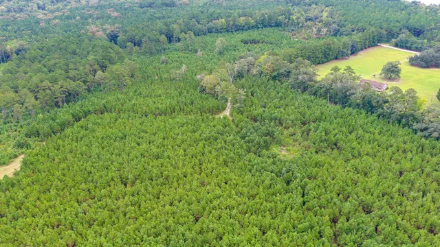 $2,620,800 | 0 Charleston Highway, Walterboro, SC 29488