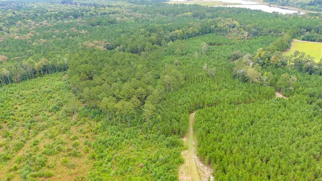 $2,620,800 | 0 Charleston Highway, Walterboro, SC 29488