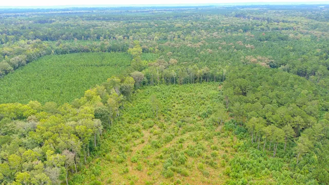 $2,620,800 | 0 Charleston Highway, Walterboro, SC 29488