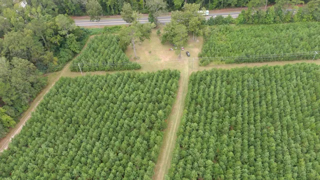 $2,620,800 | 0 Charleston Highway, Walterboro, SC 29488