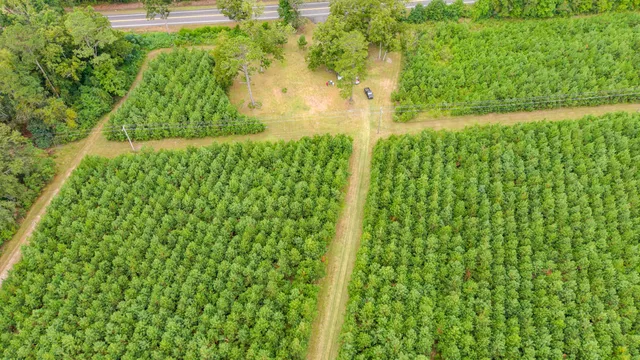 $2,620,800 | 0 Charleston Highway, Walterboro, SC 29488