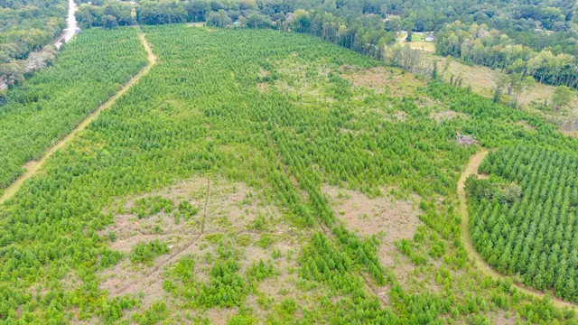 $2,620,800 | 0 Charleston Highway, Walterboro, SC 29488