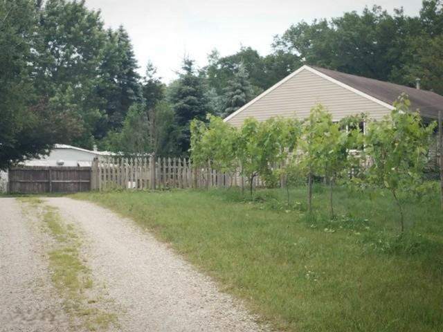 4510 White Road Pierson, MI 49339 - Photo 15 of 58 IMG_20150630_191651
