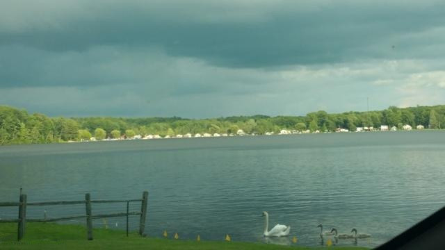 4510 White Road Pierson, MI 49339 - Photo 17 of 58 IMG_20150630_193626