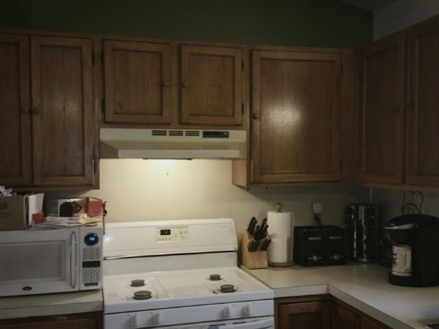 4510 White Road Pierson, MI 49339 - Photo 3 of 58 IMG_20150630_193240