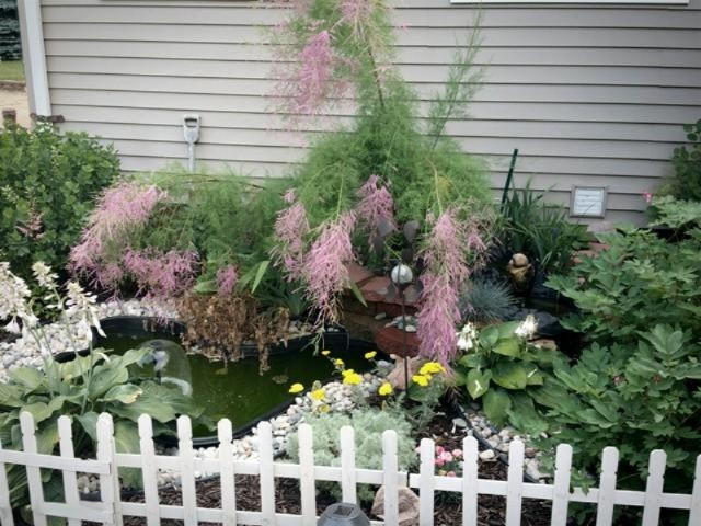 4510 White Road Pierson, MI 49339 - Photo 6 of 58 IMG_20150630_191332